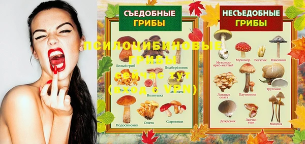тгк Волосово